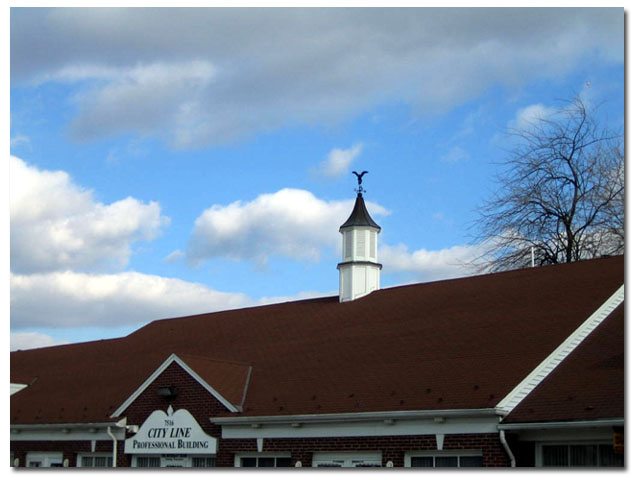 12 ft tall cupola with large eagle on office building close up